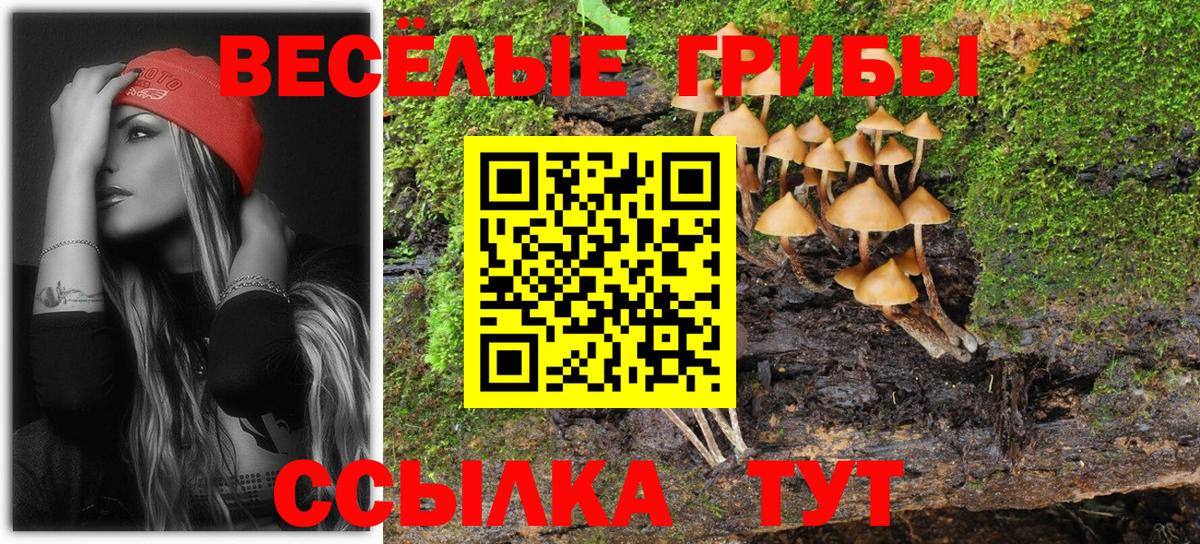 Псилоцибиновые грибы мухоморы Серпухов